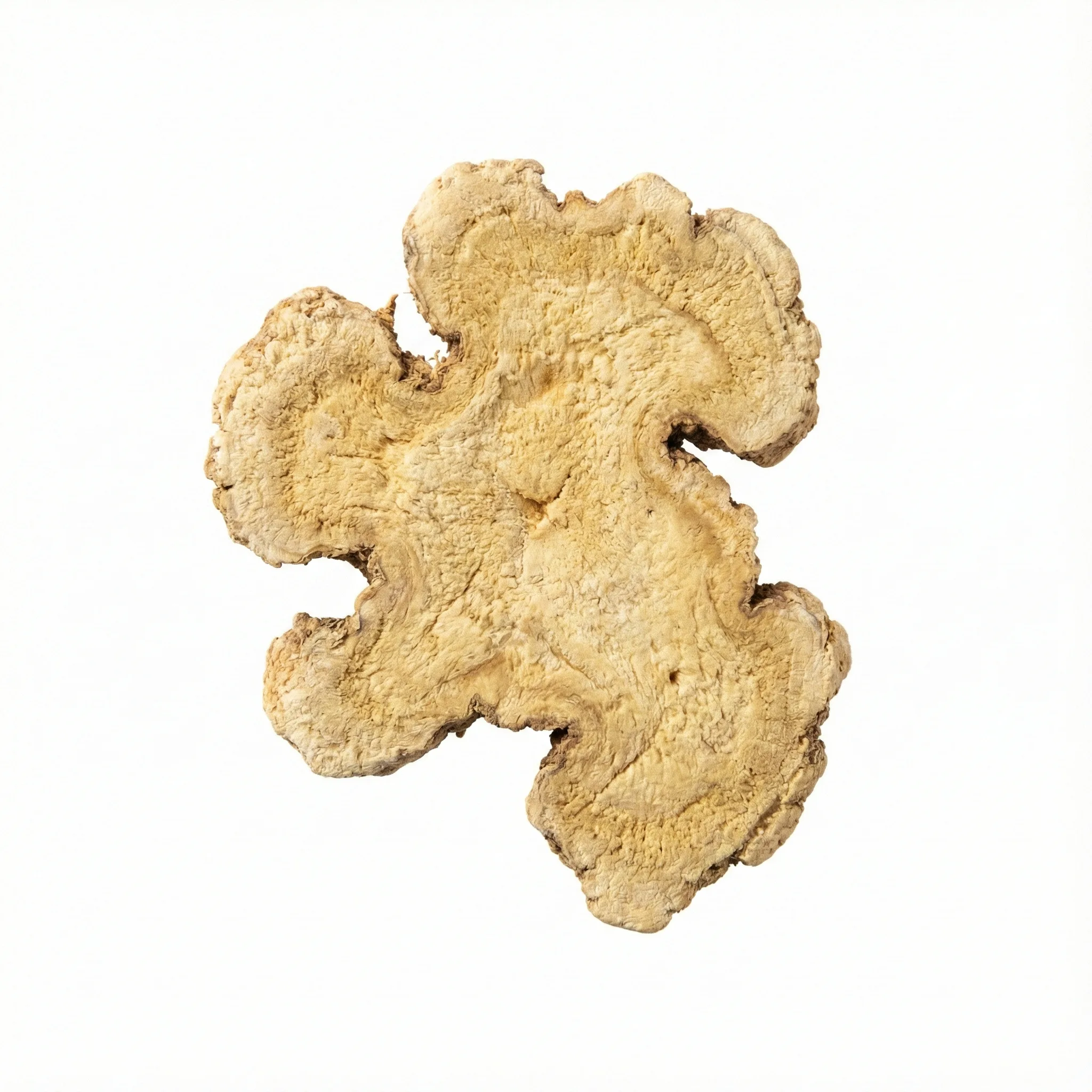 Atractyloden wortelstok (Bai Zhu)