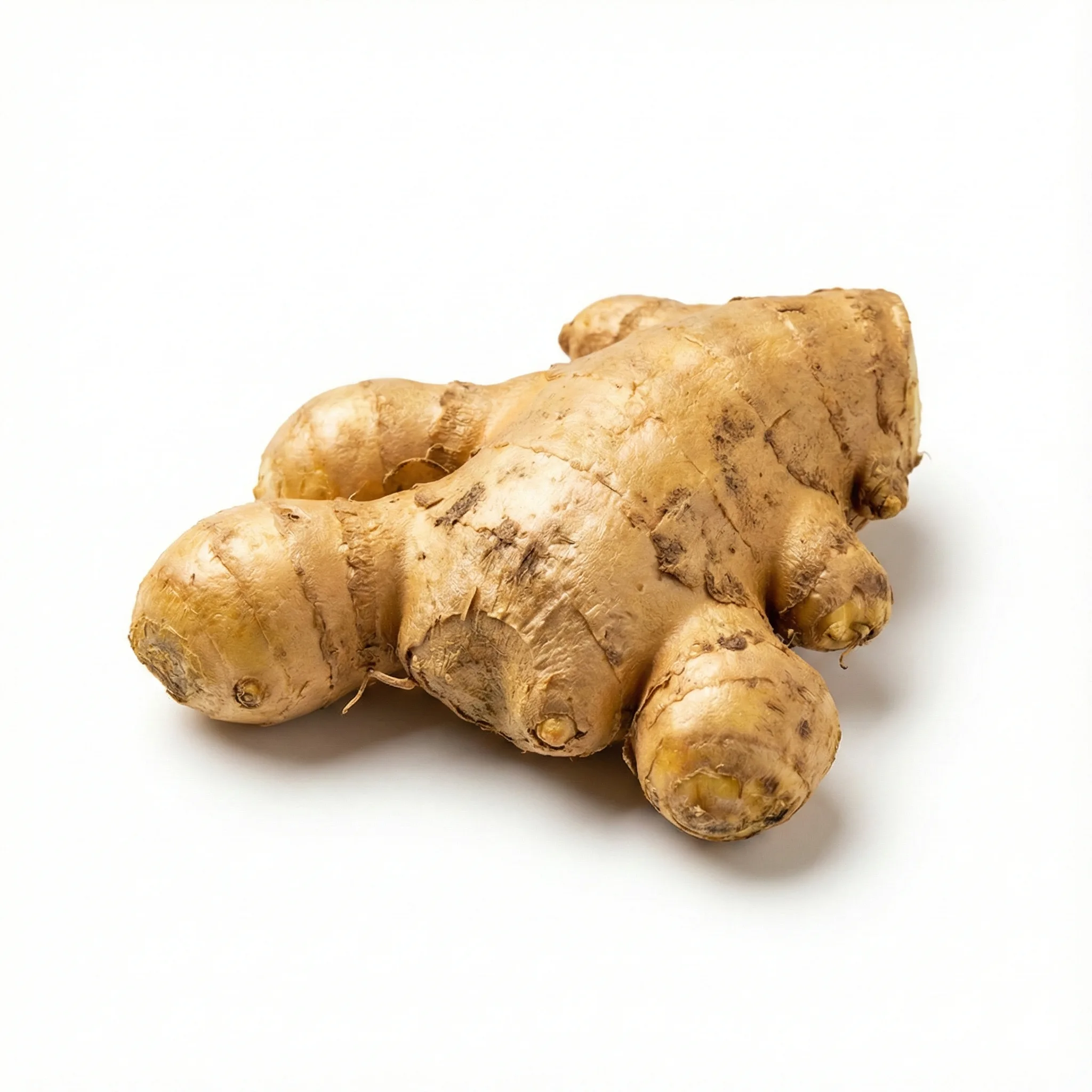 Verse gemberwortelstok (Sheng Jiang)