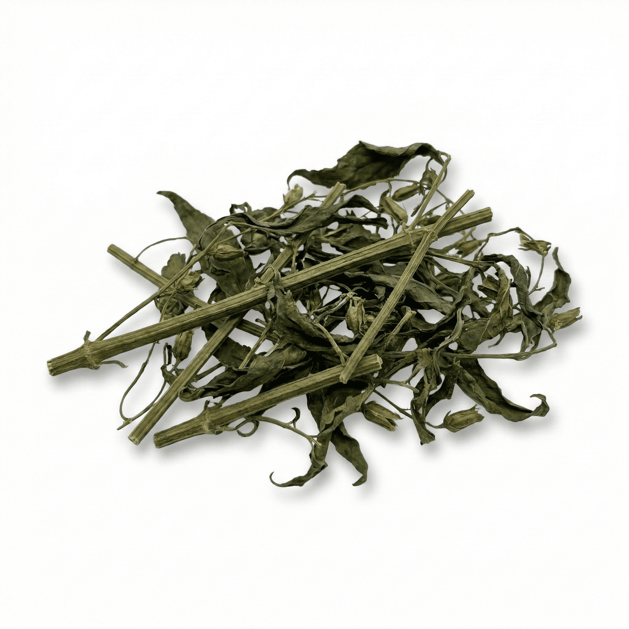 Andrographis (Chuan Xin Lian)