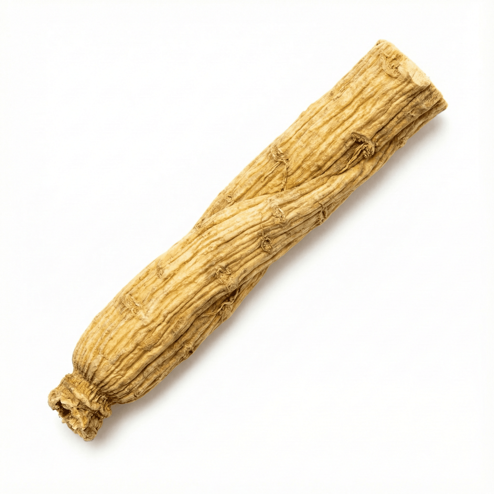 Achyranthes Wortel (Niu Xi)