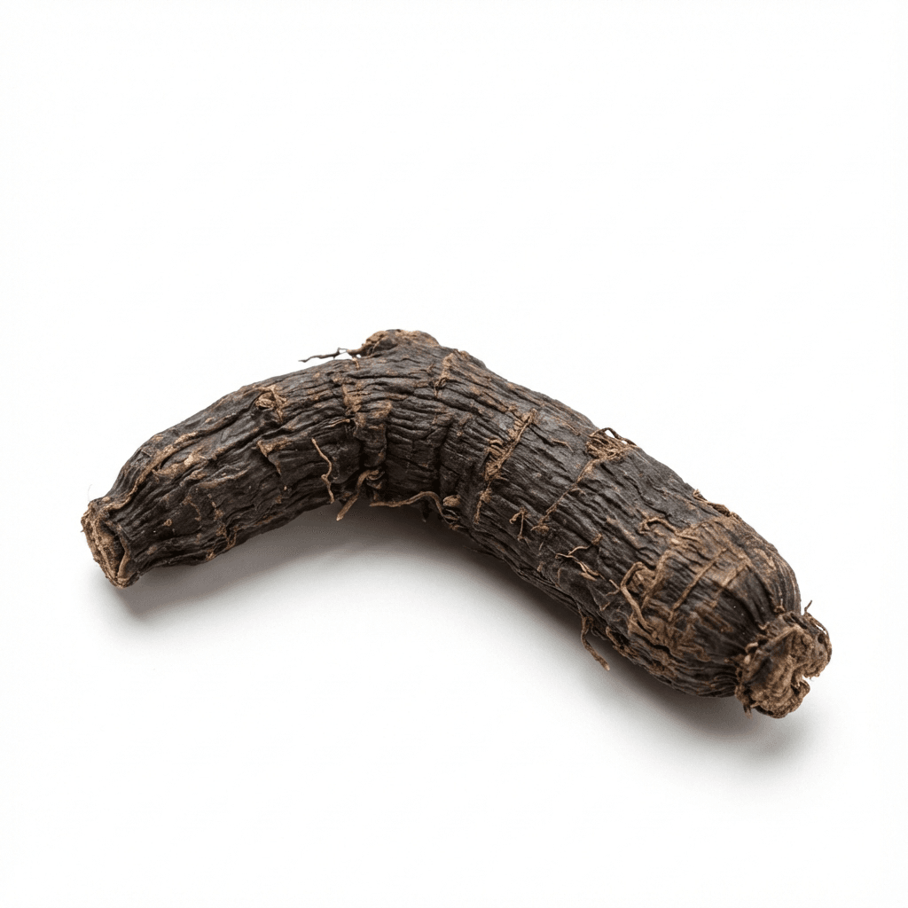 De Gouden Ooggraswortel (Xian Mao)