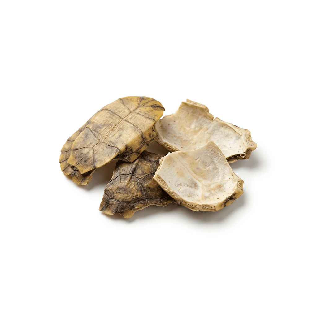 Zoetwaterschildpad-schild (Gui Ban)