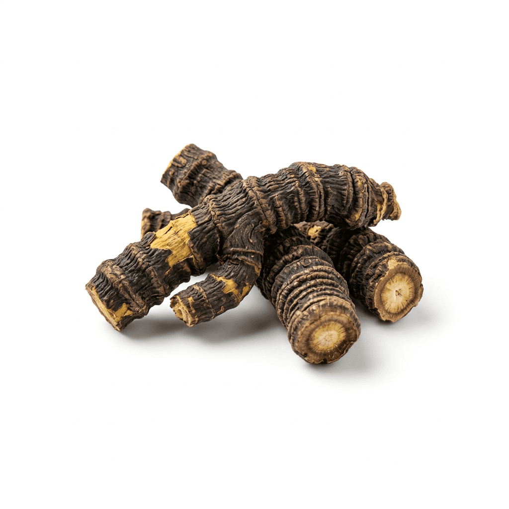 Notopterygium-wortel (Qiang Huo)