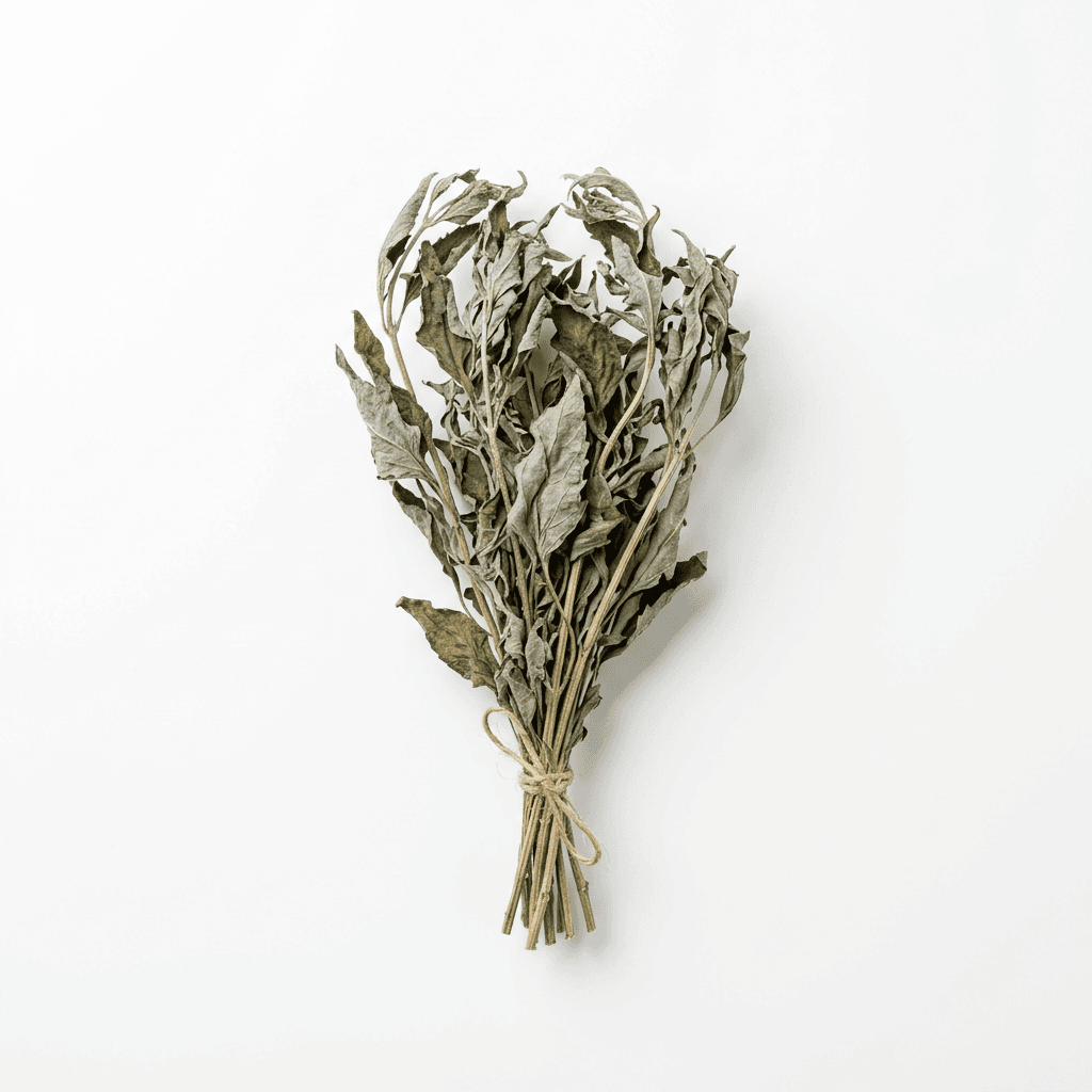 Orchideegras (Pei Lan)