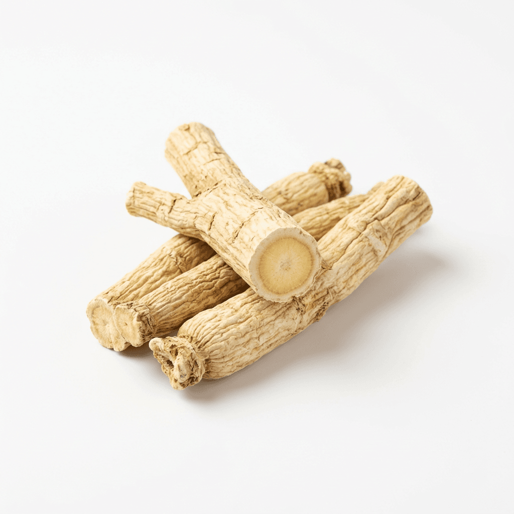 Platycodon-wortel (Jie Geng)