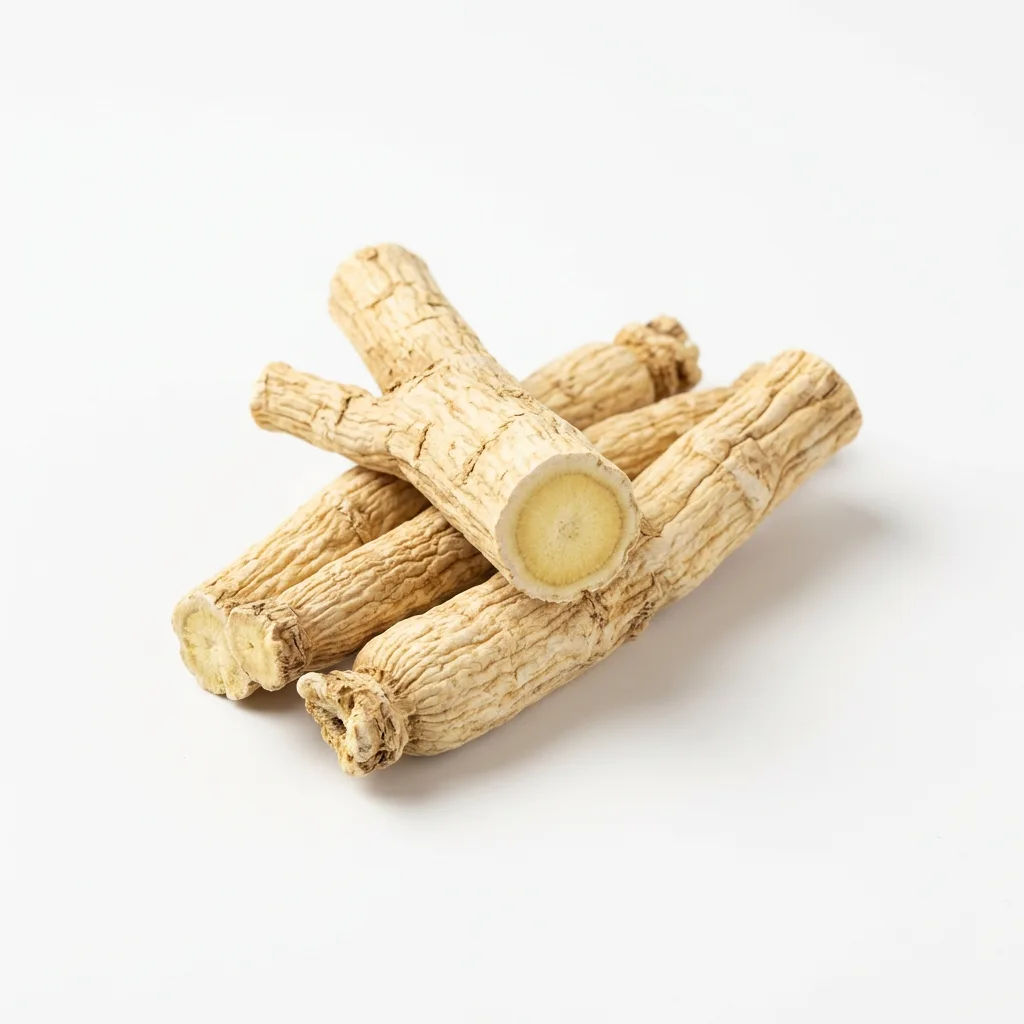 Platycodon-wortel (Jie Geng)