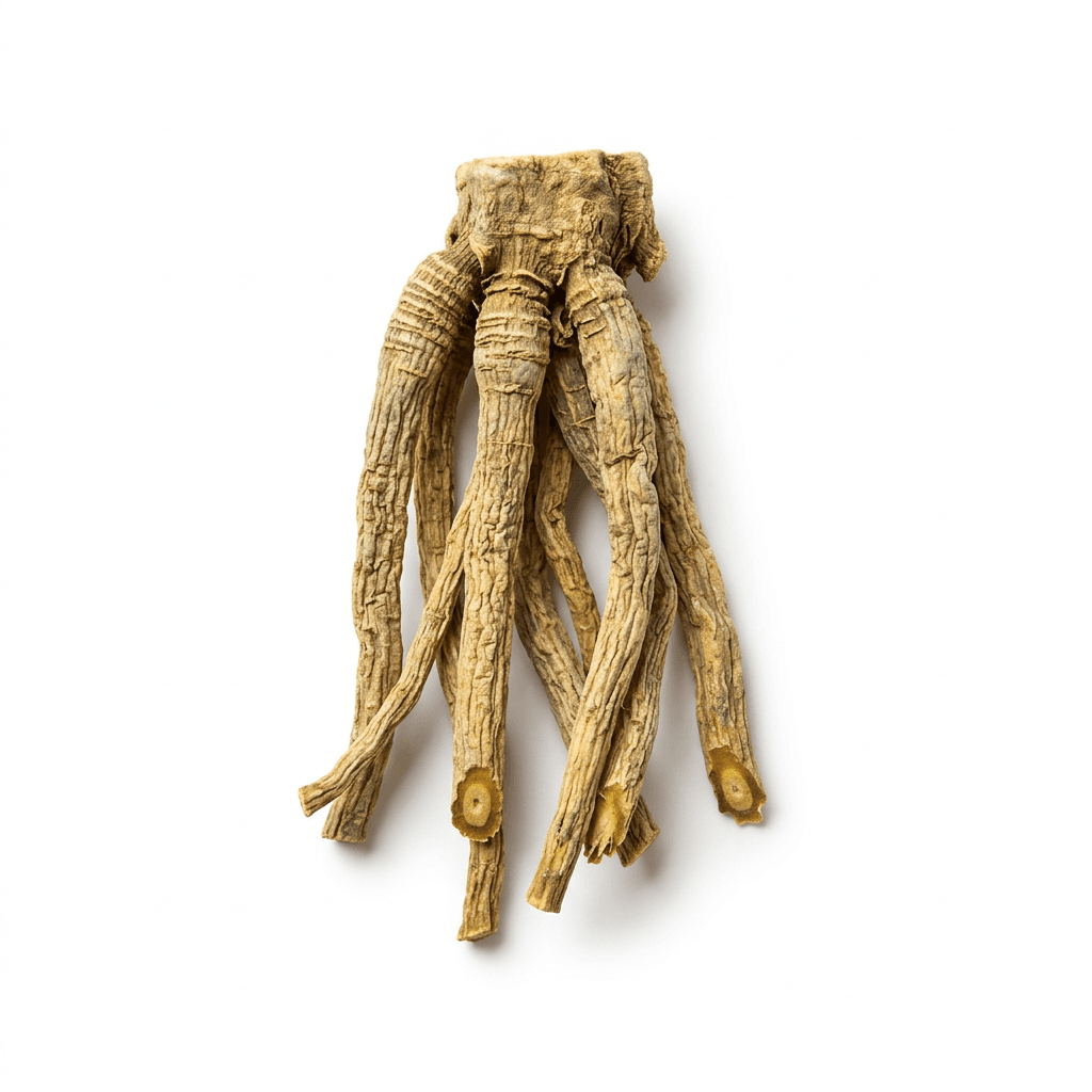 Ruwe Gentiaan-wortel en -wortelstok (Long Dan Cao)