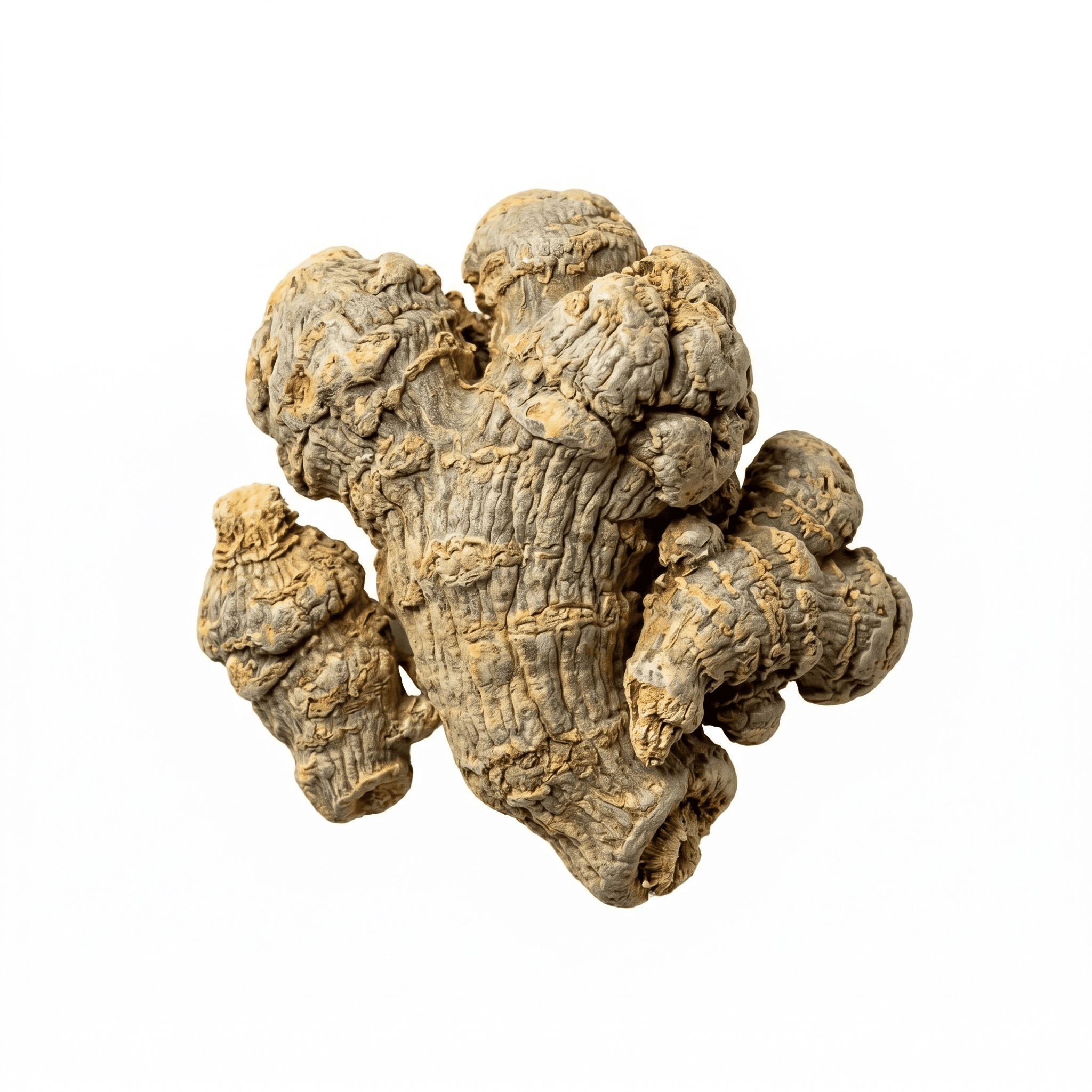 Notoginseng (San Qi)