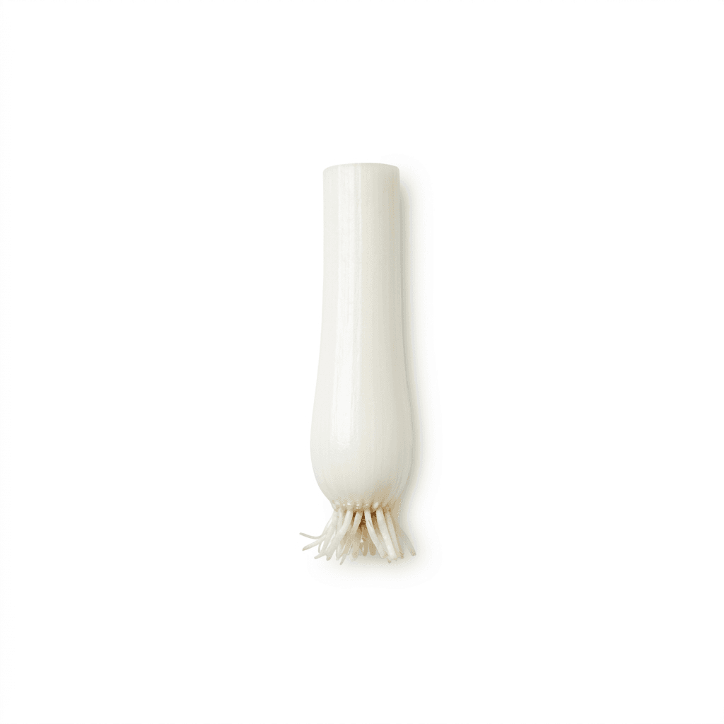 Lente-ui / Bosui Wit (Cong Bai)