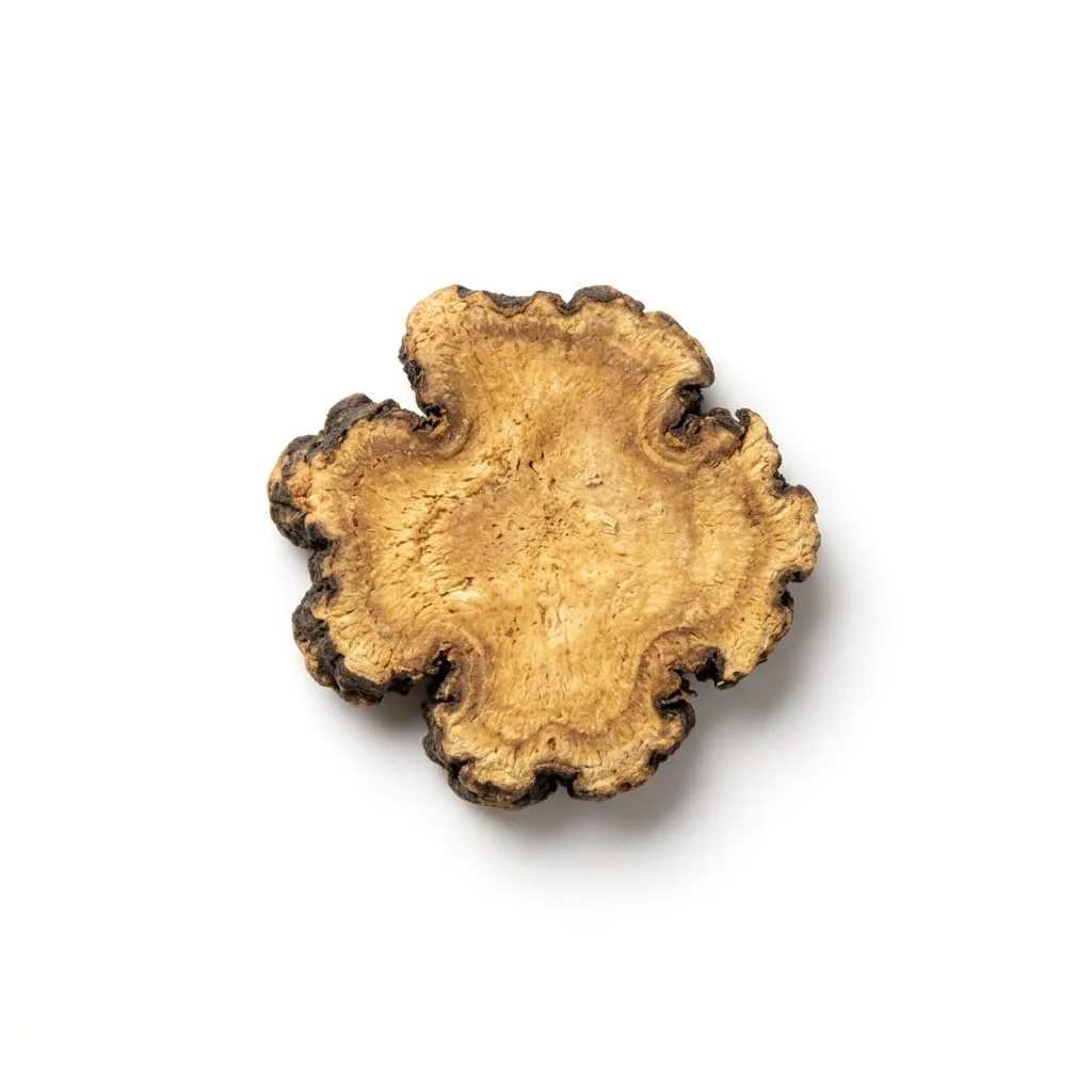 Szechuan Lavaswortel (Chuan Xiong)