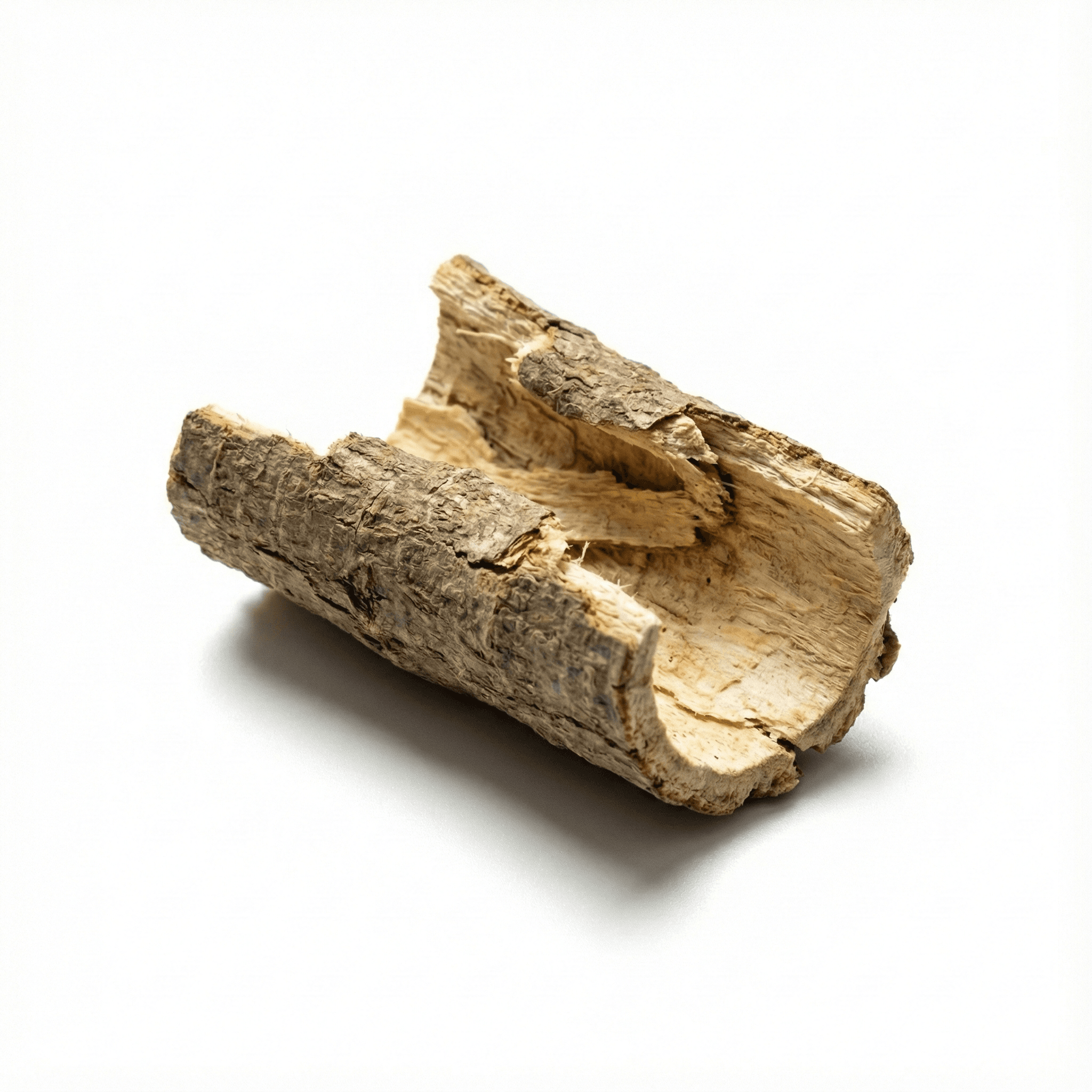 Dittany-wortelbast (Bai Xian Pi)