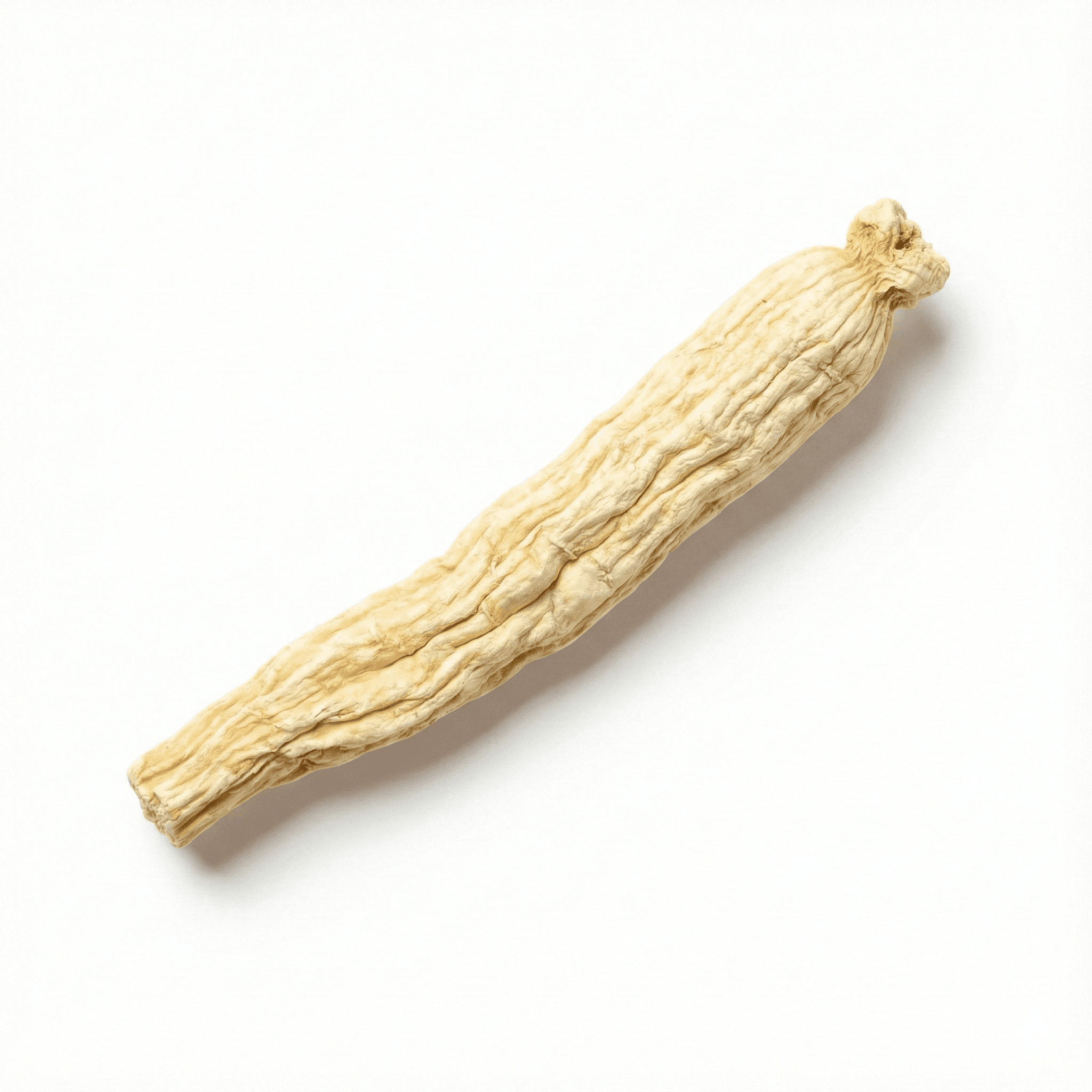 Kust-Glehnia-wortel (Bei Sha Shen)