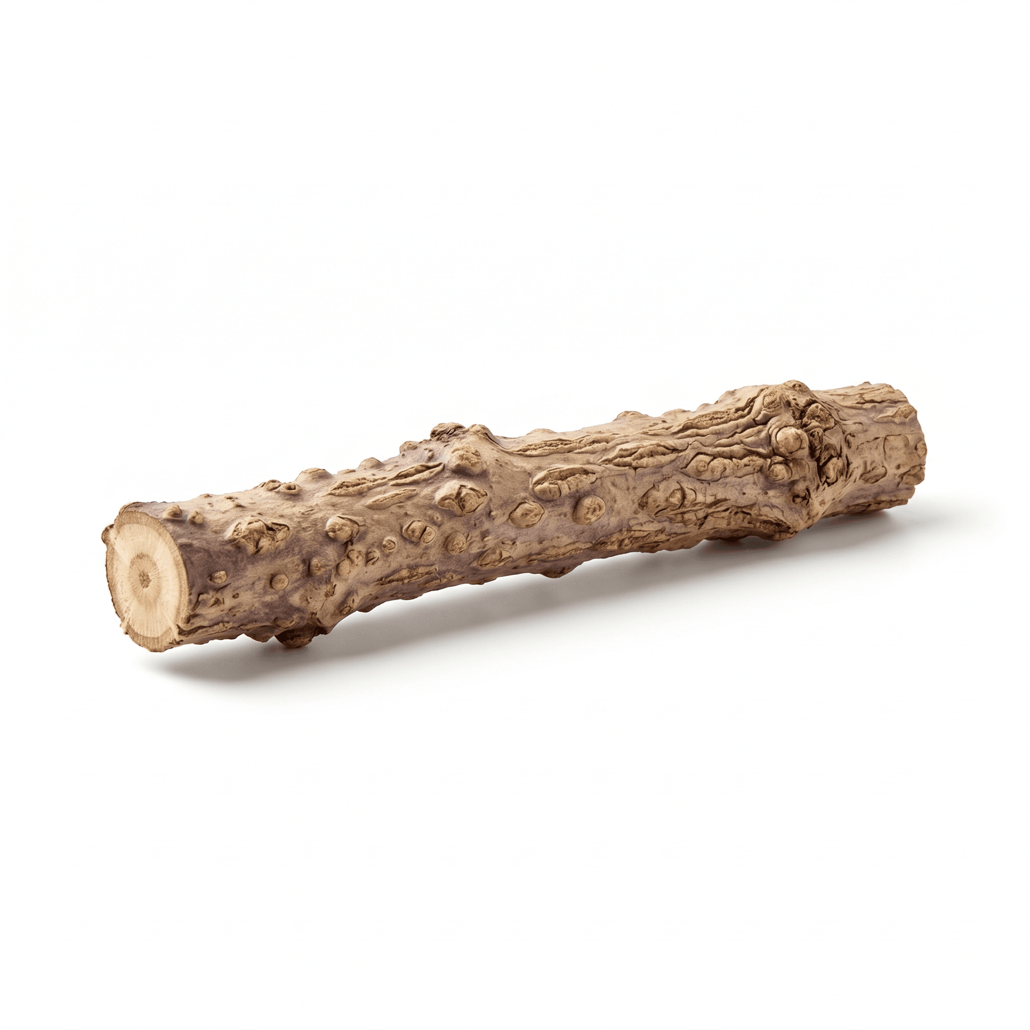 Akebia Stengel (Mu Tong)