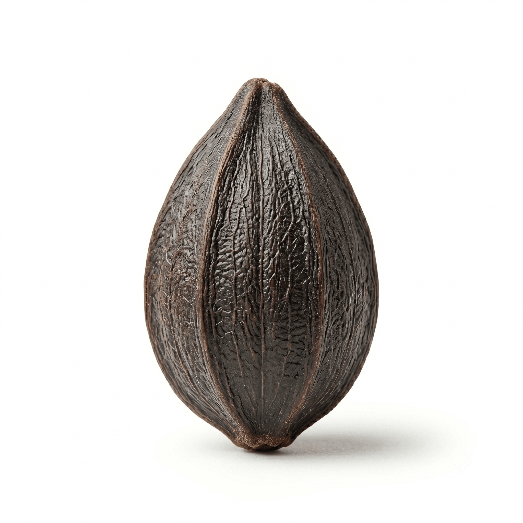 Biota-zaad (Bai Zi Ren)