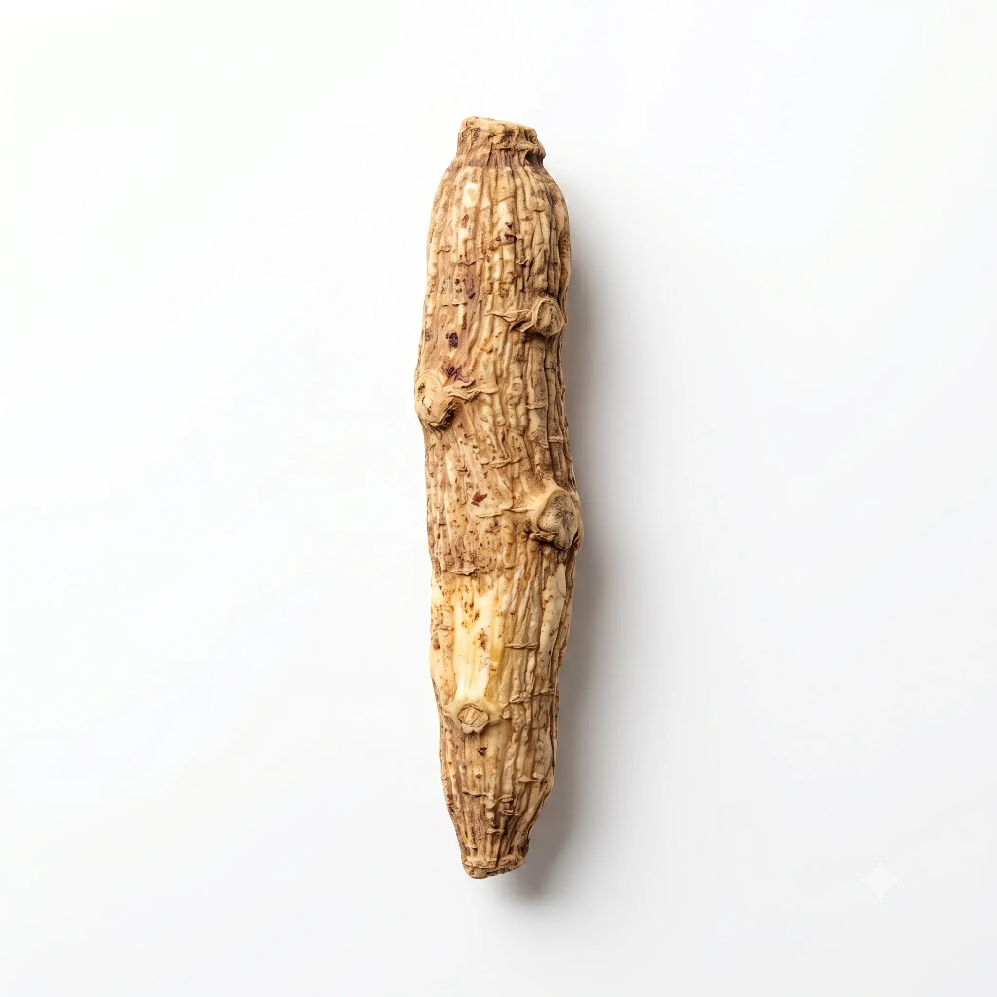 Knol van de Chinese aspergewortel (Tian Men Dong)