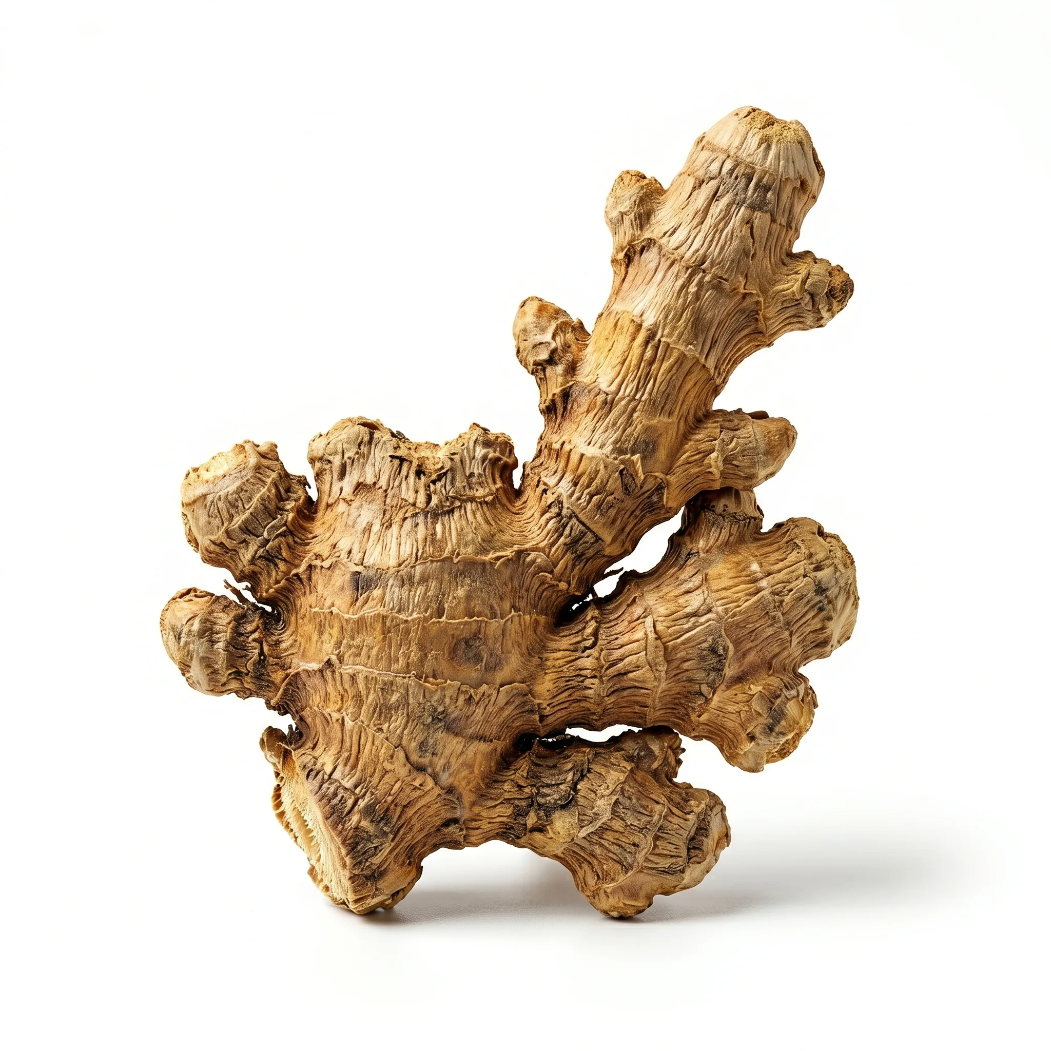Gedroogde Gemberwortel (Gan Jiang)