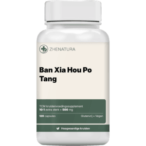 Ban Xia Hou Po Tang
