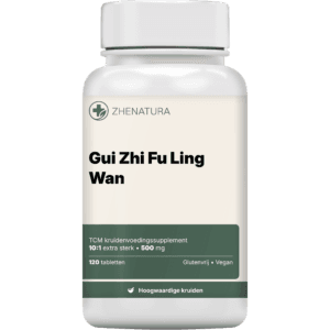 Gui Zhi Fu Ling Wan