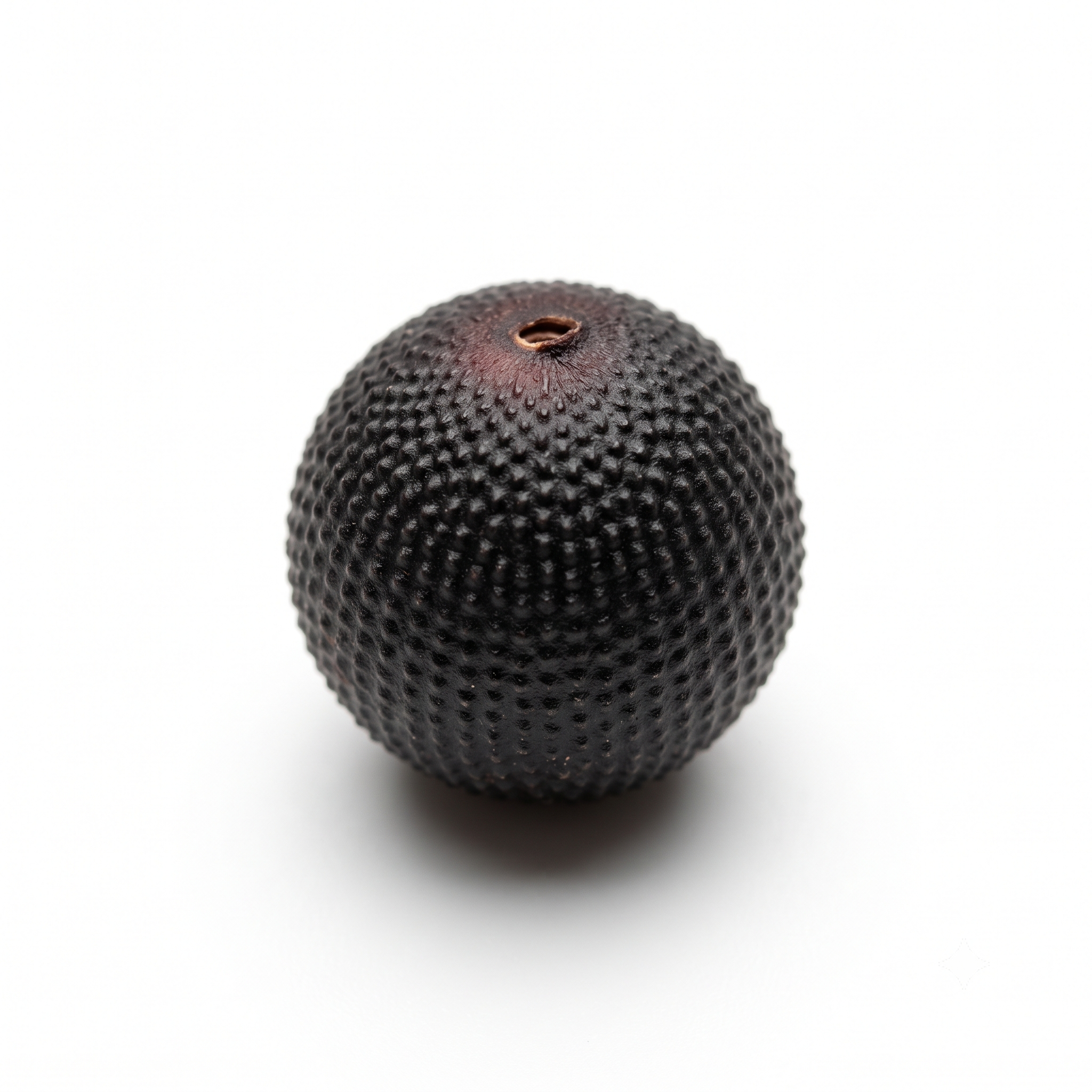 Vaccaria-zaad (Wang Bu Liu Xing)